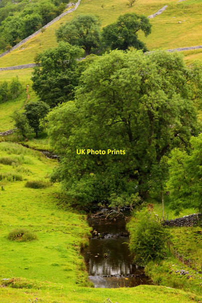 Photo 6"x4" Malham Beck Malham\/SD9062 c2011