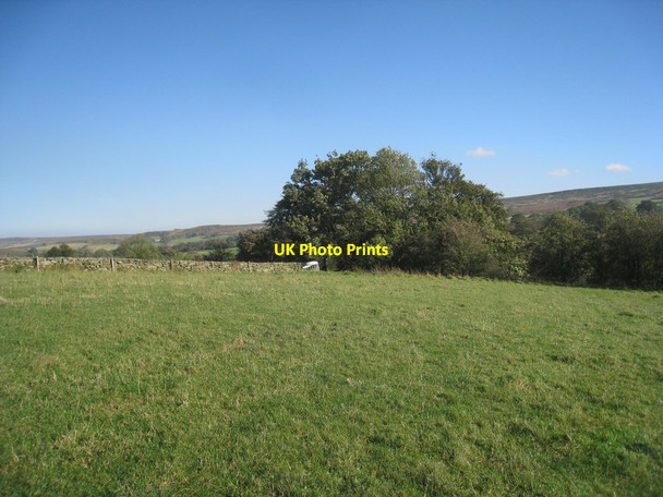 Photo 6"x4" Above Tower Beck Westerdale\/NZ6605 c2011