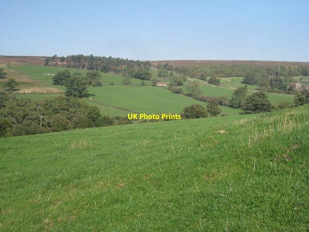 Photo 6"x4" View across Westerdale Westerdale\/NZ6605 c2011