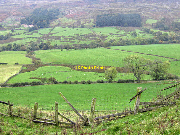 Photo 6"x4" A murky day in Rosedale Thorgill c2011