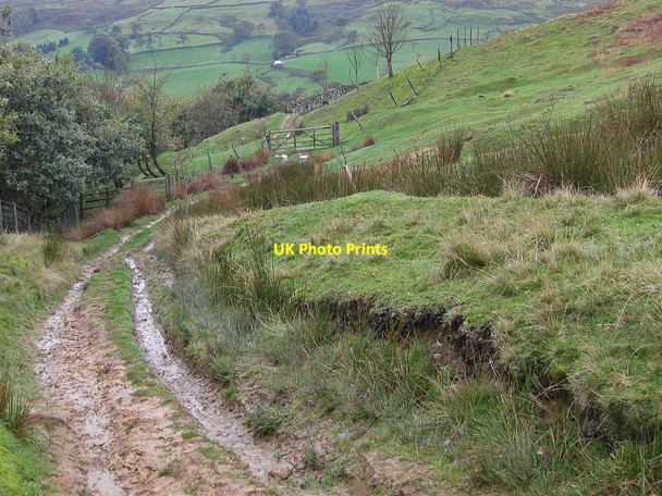 Photo 6"x4" Muddy track down to Dale Head Farm Thorgill c2011