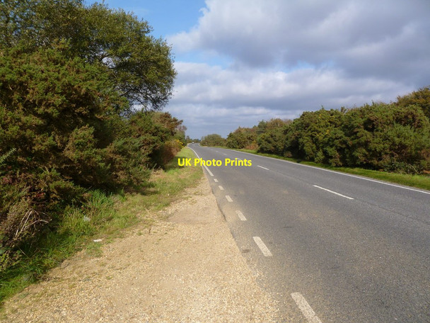 Photo 6"x4" Markway, A35 Bisterne Close c2011