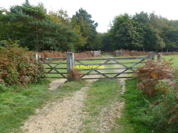 Photo 6"x4" Markway, gates Bisterne Close c2011