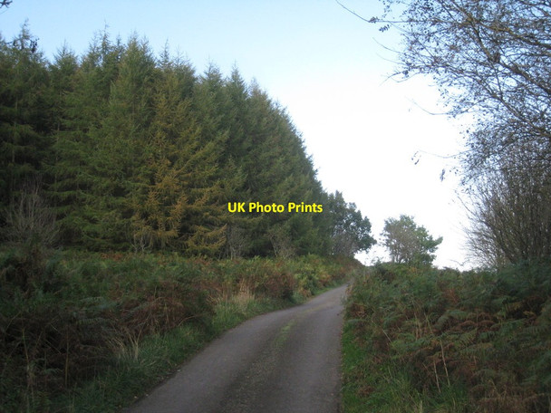 Photo 6"x4" The road up Hartoft Dale Rosedale Abbey c2011