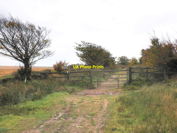 Photo 6"x4" Boundary fence and gate, Porchester's Post North Batsom c2011