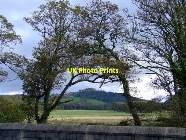 Photo 6"x4" Ardgowan policies and Bargane Hill Inverkip c2011