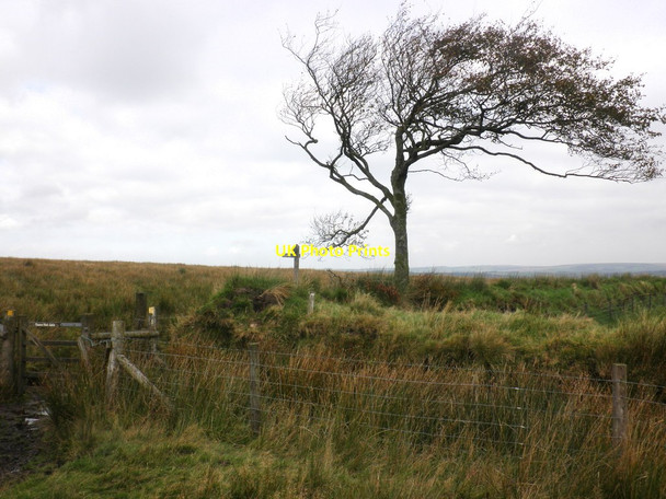 Photo 6"x4" Fence and gate on Worth Hill North Batsom c2011