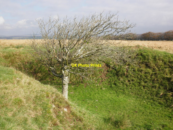 Photo 6"x4" Pit near Old Barrow Plantation North Batsom c2011