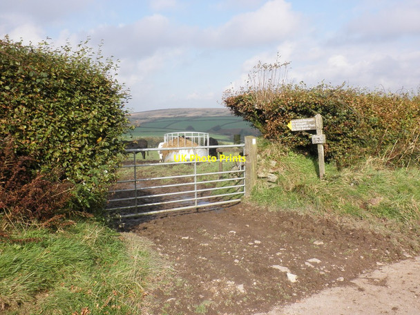 Photo 6"x4" Gateway to footpath, on Old Barrow Down North Batsom c2011