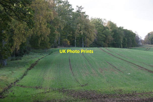 Photo 6"x4" Woodland and fields at Kinclaven Meikleour c2011