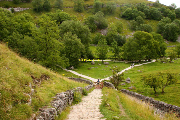 Photo 6"x4" Steps to Malham Cove Fields Malham\/SD9062 c2011