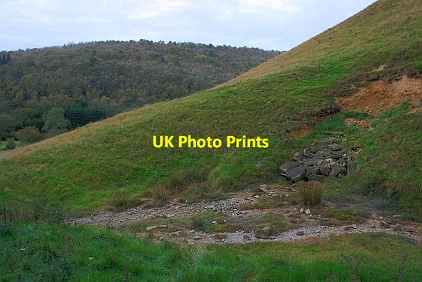 Photo 6"x4" Crossdale Spring Lockton c2011