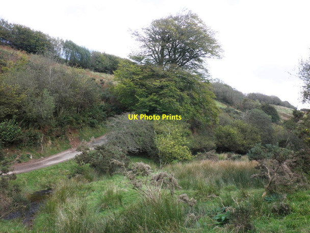 Photo 6"x4" Track leading to Lyshwell Farm Hawkridge c2011