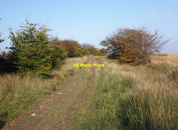 Photo 6"x4" Bridleway, near Porchester's Post North Batsom c2011