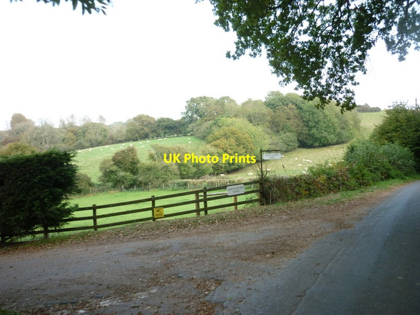 Photo 6"x4" Burnt House Lane at Greenacres Farm Downend\/SZ5387 c2011