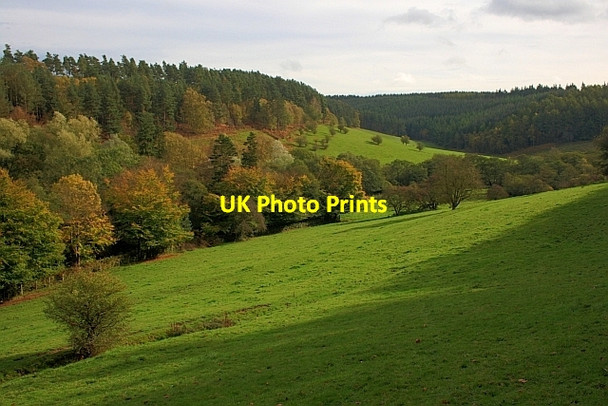 Photo 6"x4" Thornton Dale Low Dalby c2011