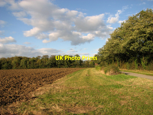 Photo 6"x4" View towards Lowood, Hasketon Woodbridge\/TM2649 c2011