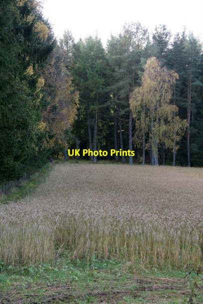 Photo 6"x4" Fields and woodland west of Kinclaven Meikleour c2011