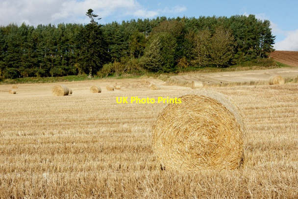 Photo 6"x4" Barley stubble, Lethendy Kirkton of Lethendy c2011 P1