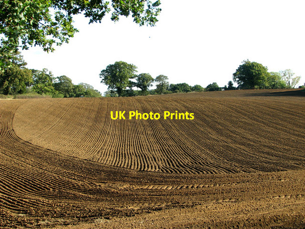 Photo 6"x4" Cultivated field, Great Bealings Great Bealings c2011