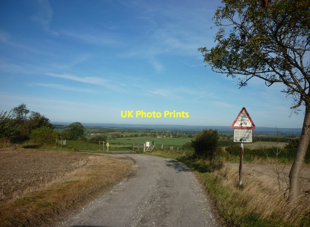Photo 6"x4" A cattle grid on Luddith Road North Grimston c2011