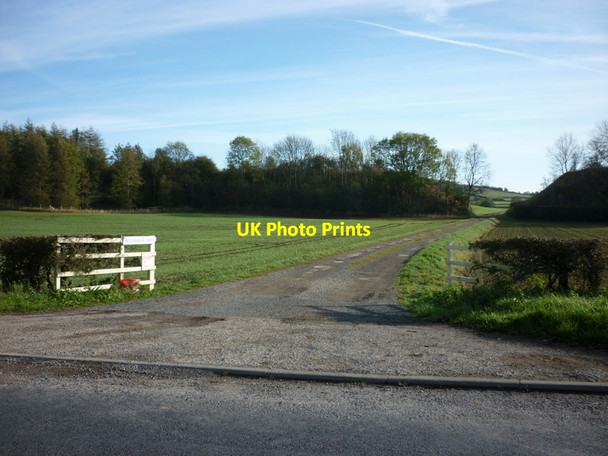 Photo 6"x4" The way to Bellmanear Farm North Grimston c2011