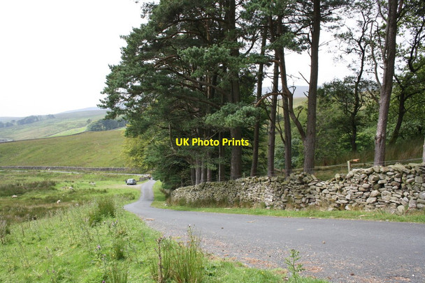 Photo 6"x4" Road towards Cluntering Gill Bridge at Whiteside Wood Chapel-le-Dale c2011