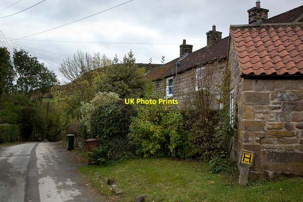 Photo 6"x4" Houses at Thorgill Thorgill c2011