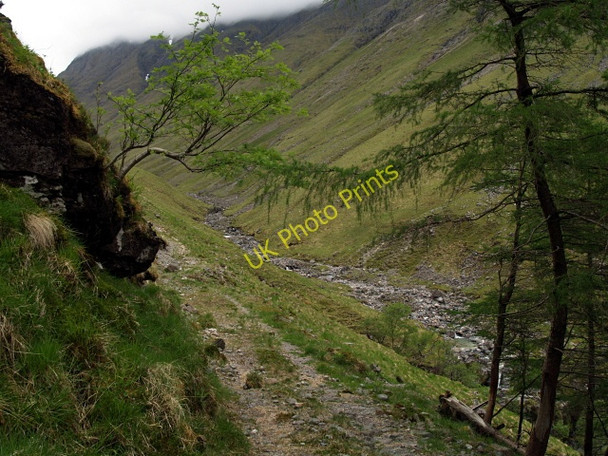 Photo 6"x4" Out of the forest Dalness\/NN1651 c2008