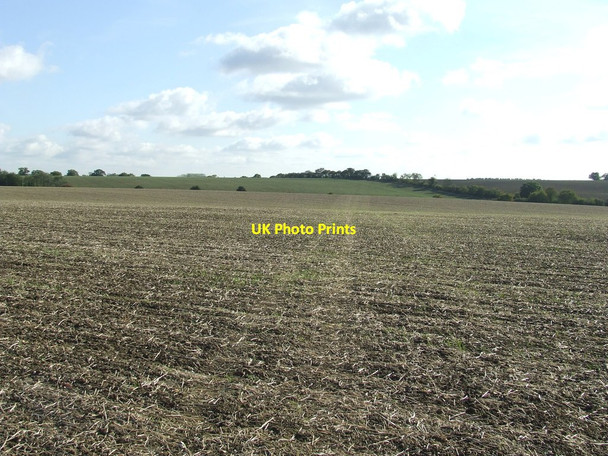 Photo 6"x4" The Middle Of A Field Babel Green c2011