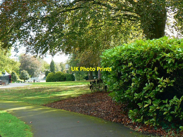 Photo 6"x4" View south in the Borough Gardens, Dorchester Dorchester\/SY6890 c2011