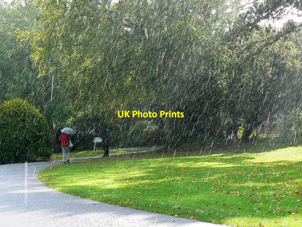 Photo 6"x4" Microclimatological event, Borough Gardens, Dorchester Dorchester\/SY6890 c2011