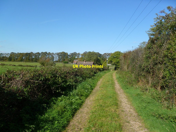 Photo 6"x4" Midgham Farm, track Fordingbridge c2011