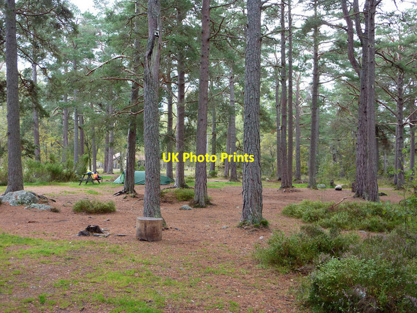 Photo 6"x4" Upper camping area at the Rothiemurchus estate campsite Coylumbridge c2011