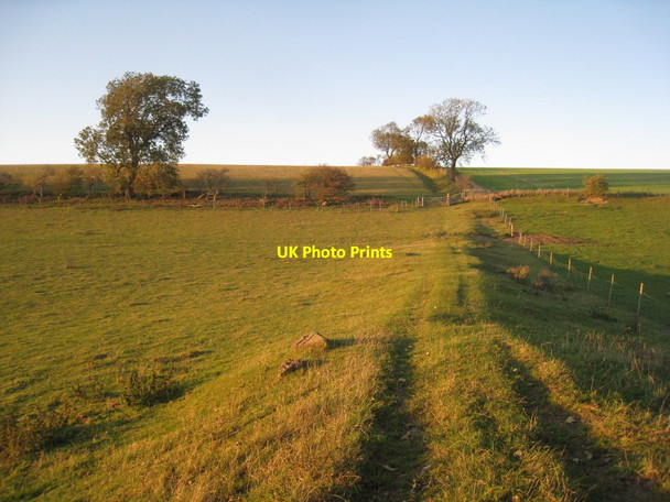 Photo 6"x4" Bridleway to Simon's Pond Thoresway c2011