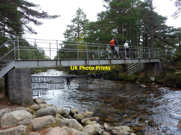 Photo 6"x4" Cairngorm Club Footbridge, Rothiemurchus Coylumbridge c2011