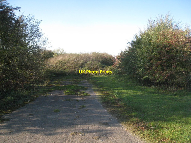 Photo 6"x4" The end of the road Thoresway c2011