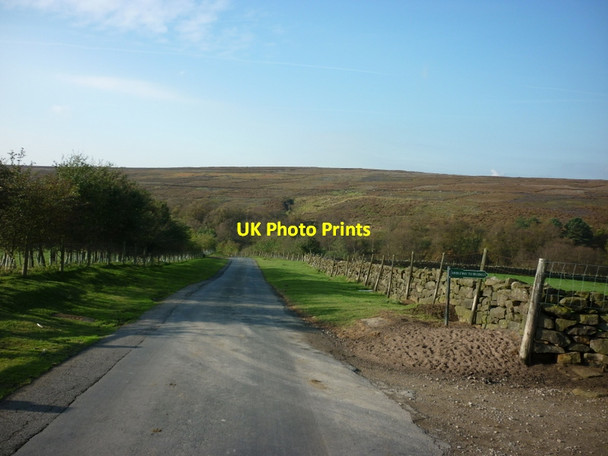 Photo 6"x4" Looking south near Bonfield Ghyll farm Bonfield Ghyll c2011