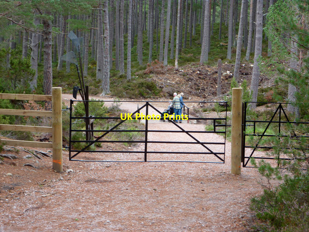 Photo 6"x4" Gates and fire beaters near Loch an Eilein, Rothiemurchus Forest Doune\/NH8809 c2011
