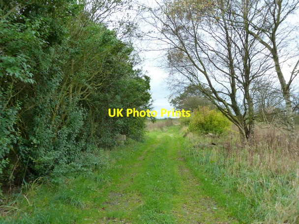 Photo 6"x4" Track off Meadow Lane Black Moor\/SD4714 c2011