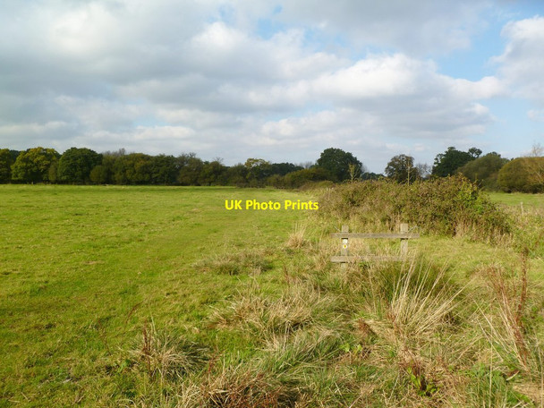 Photo 6"x4" Bickton, long-distance footpath Fordingbridge c2011