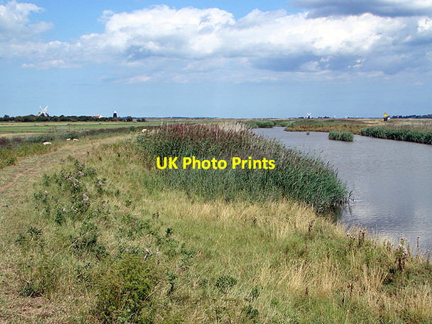 Photo 6"x4" Beside the Yare on the Wherryman's Way Reedham\/TG4201 c2011