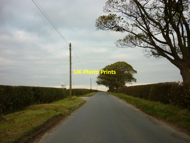 Photo 6"x4" Looking north along Langton Road Langton\/SE7967 c2011