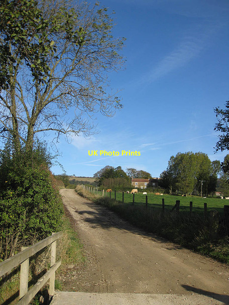 Photo 6"x4" Track to Plantation House Ampleforth c2011