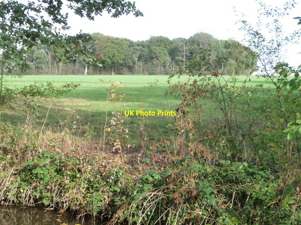 Photo 6"x4" Southern end of Fox Covert Clayworth c2011