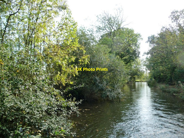 Photo 6"x4" The Chesterfield Canal Clayworth c2011