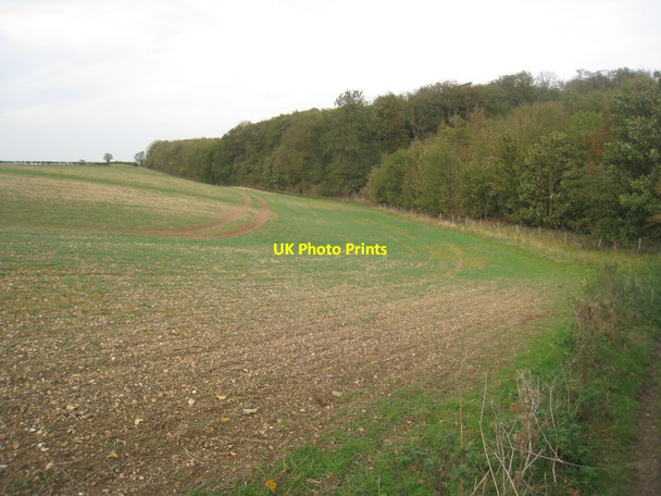 Photo 6"x4" View of Badger Hills Cabourne c2011
