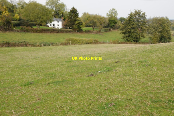 Photo 6"x4" Cottage at Durlow Common Durlow Common c2011