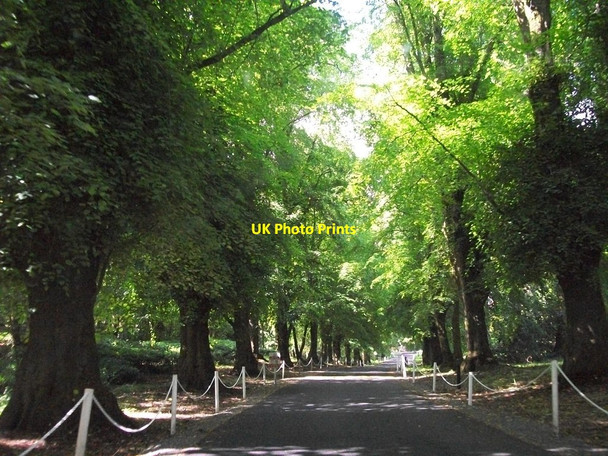 Photo 6"x4" Drive to The Park Hotel, Virginia Virginia\/N6087 c2011