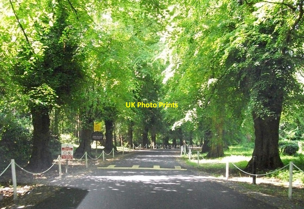 Photo 6"x4" The drive leading to The Park Hotel, Virginia Virginia\/N6087 c2011